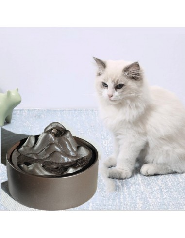 Fontaine Zen a Eau Rafraichissante Chat Venez découvrir notre 