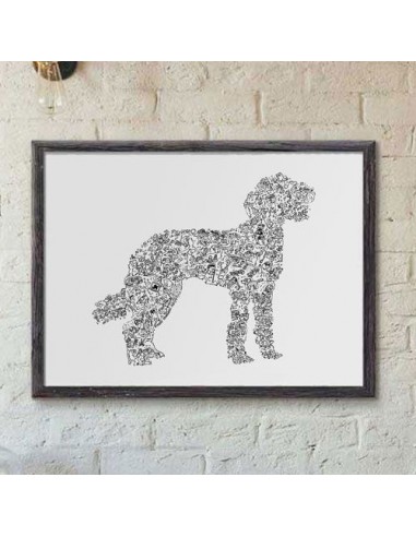 Labradoodle Profitez des Offres !